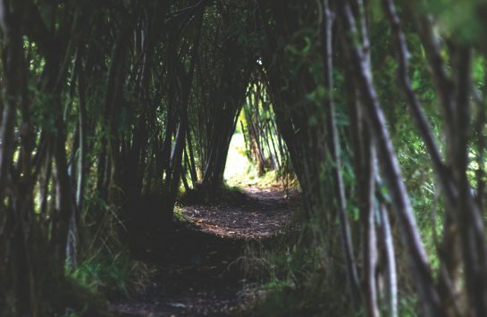 ομάδα δραματοθεραπείας πέρασμα